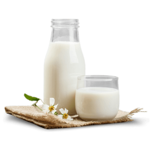 Aarong Dairy UHT Milk