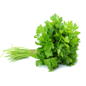 Coriander Leaves (Dhonia Pata)