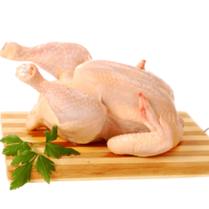 Broiler Chicken