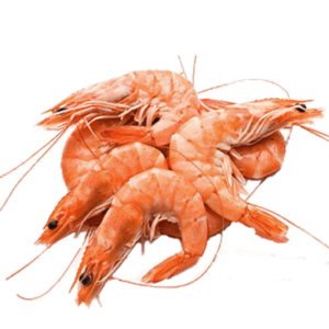 Horina Chingri (Shrimp)
